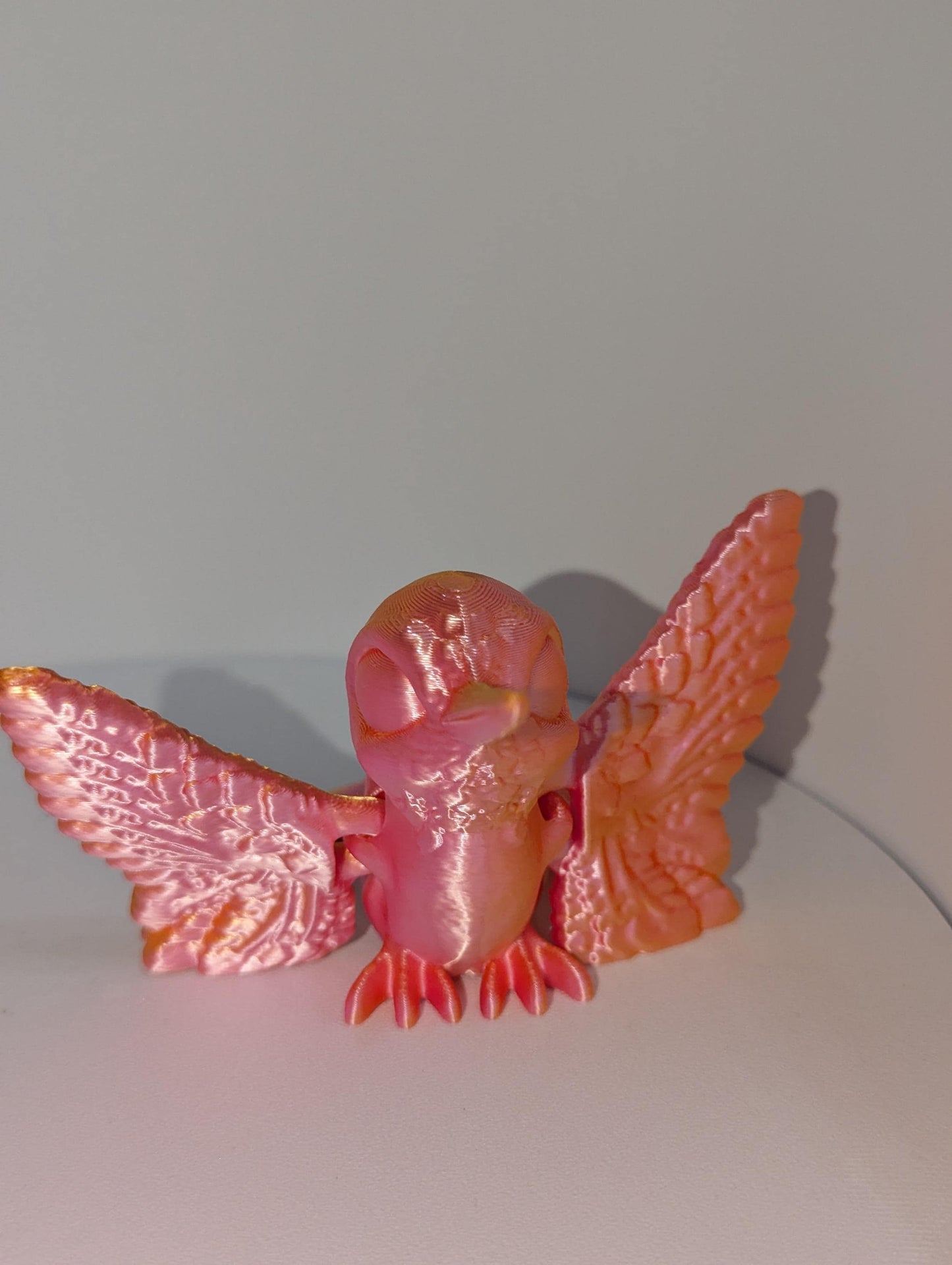 Orange /pink Humming bird front profile.