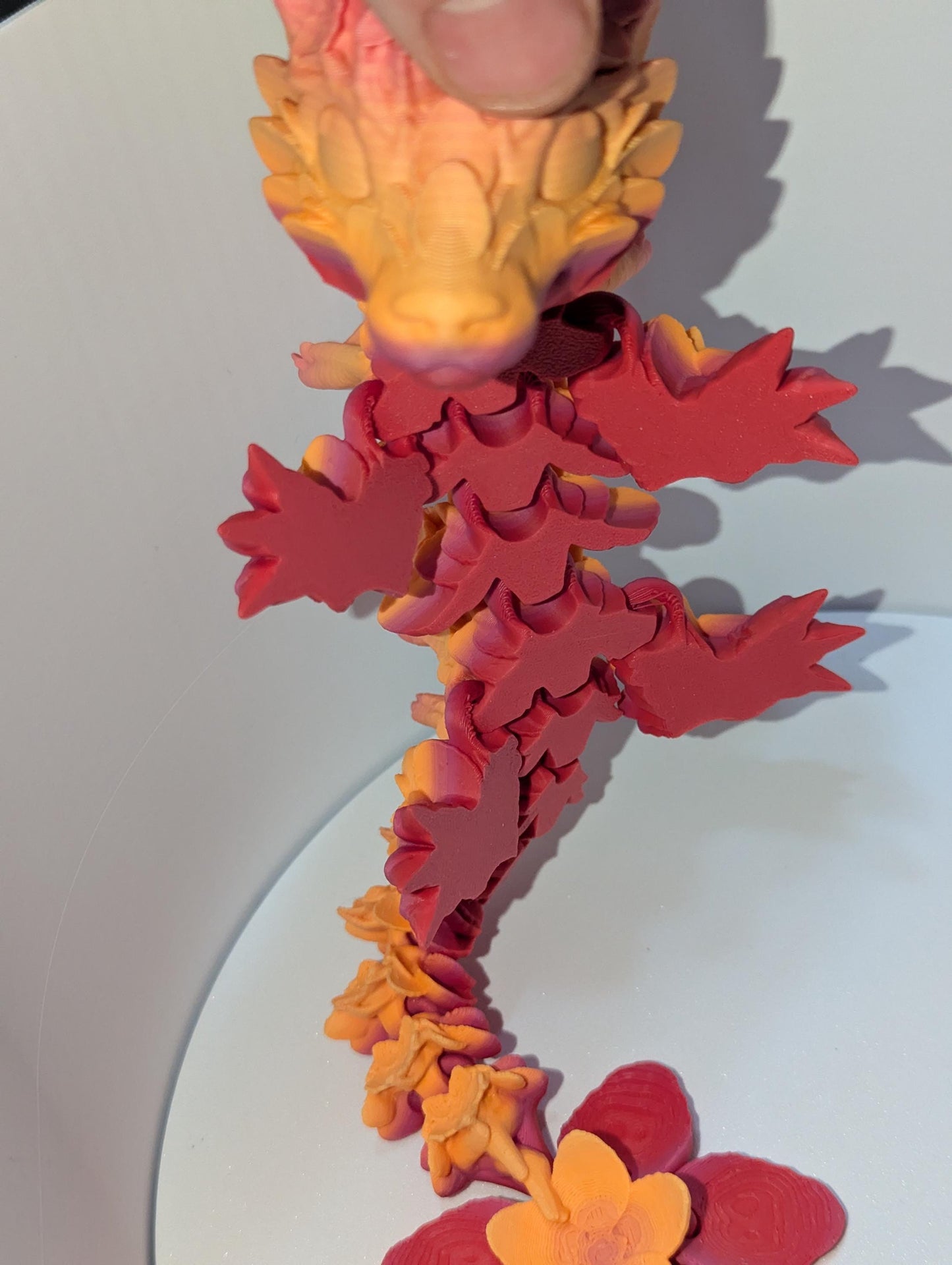 Belly profile of cherry blossom articulated dragon.