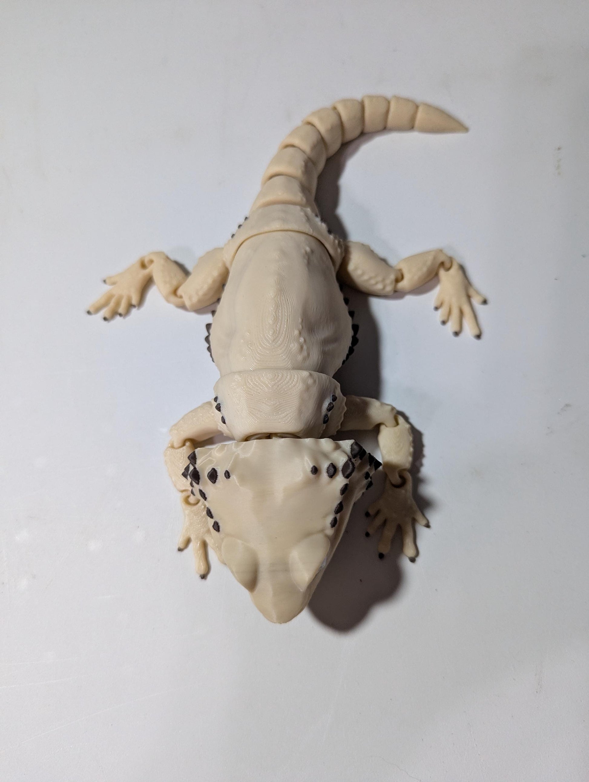 Articulated Bearded Dragon – Flexible 3D Printed Lizard – Poseable Reptile Fidget Toy – Realistic Desk Companion Gift