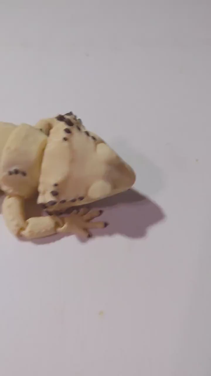 Articulated Bearded Dragon – Flexible 3D Printed Lizard – Poseable Reptile Fidget Toy – Realistic Desk Companion Gift