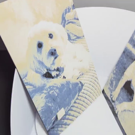 Print your Photo! Personalized Hueforge Pet Portrait | Custom Color Layered Wall Art | Memorial Dog Gift Custom Family Personal wall Art